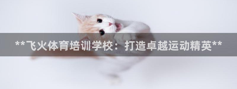 耀世平台代理：**飞火体育培训学校：打造卓越运动精英
