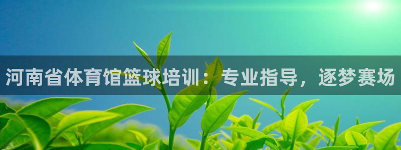 耀世娱乐怎么注册不了：河南省体育馆篮球培训：专业指导