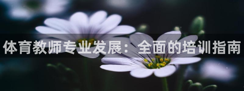 耀世平台精选 58534I 耀世：体育教师专业发展：