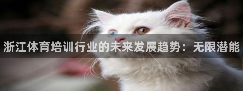 耀世娱乐挂机赚钱吗：浙江体育培训行业的未来发展趋势：
