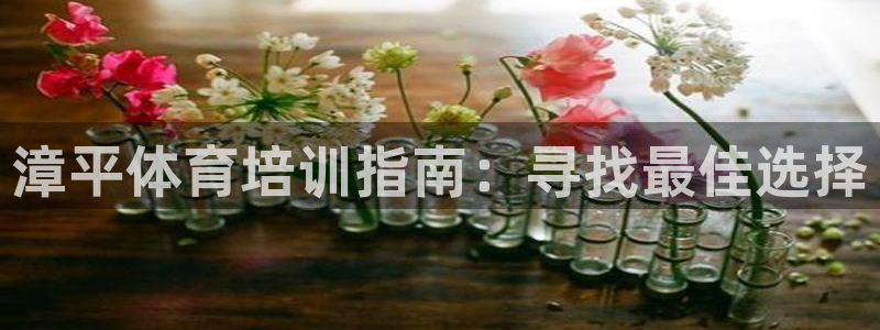 耀世平台注册网址是多少：漳平体育培训指南：寻找最佳选