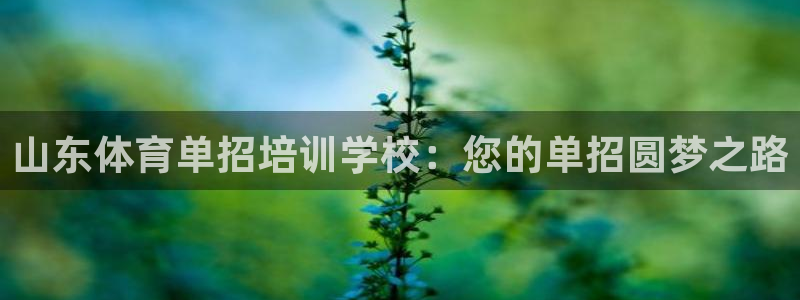 耀世天下短句：山东体育单招培训学校：您的单招圆梦之路
