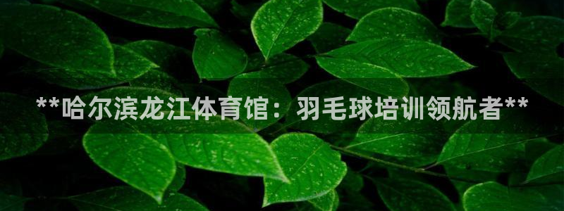 耀世娱乐挂机软件：**哈尔滨龙江体育馆：羽毛球培训领