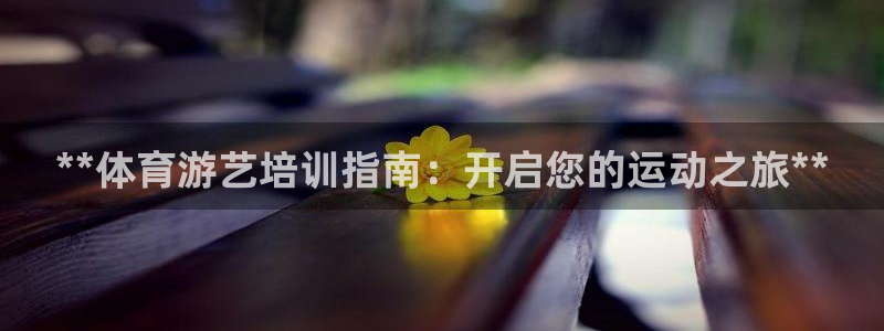 耀世娱乐辅助软件下载安卓：**体育游艺培训指南：开启