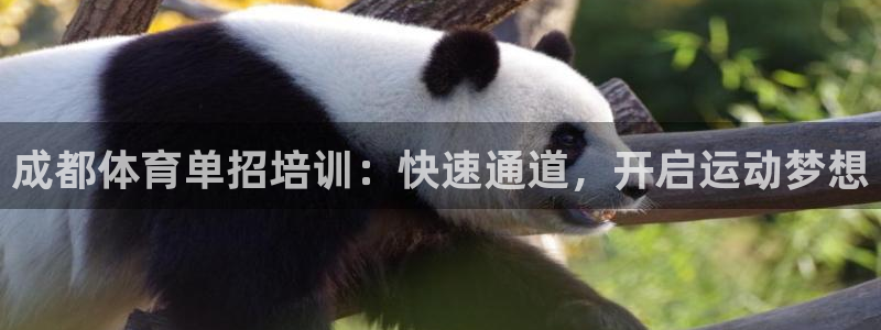 耀世娱乐含山县：成都体育单招培训：快速通道，开启运动