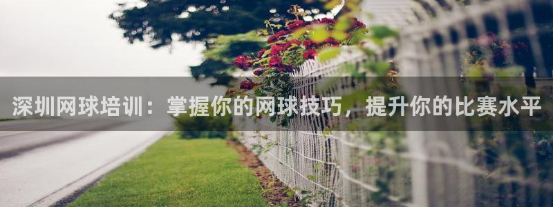 耀世集团视频：深圳网球培训：掌握你的网球技巧，提升你
