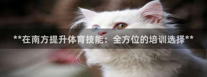耀世平台下载：**在南方提升体育技能：全方位的培训选