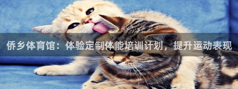耀世娱乐脚本不死挂机能玩吗：侨乡体育馆：体验定制体能