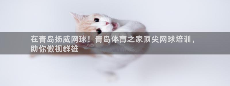 耀世平台拿什么输入账号密码：在青岛扬威网球！青岛体育