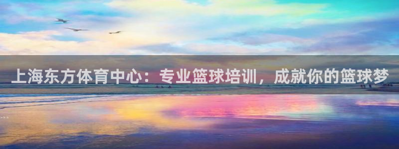 耀世娱乐是什么：上海东方体育中心：专业篮球培训，成就