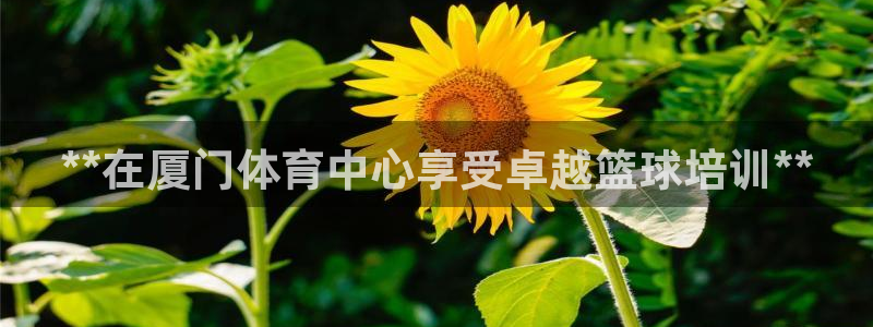 耀世娱乐下载最新版本安装教程：**在厦门体育中心享受