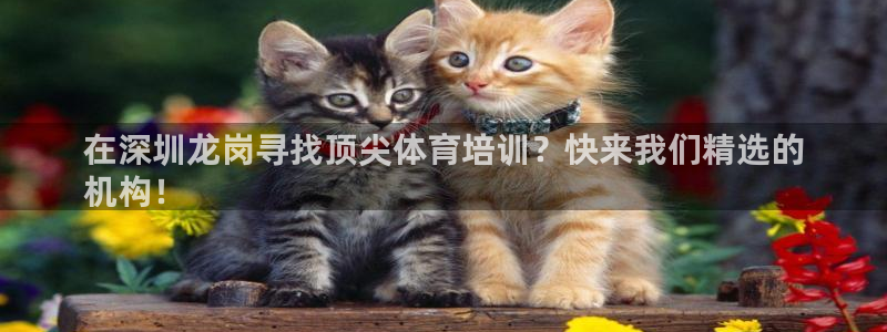 耀世娱乐圈主管：在深圳龙岗寻找顶尖体育培训？快来我们