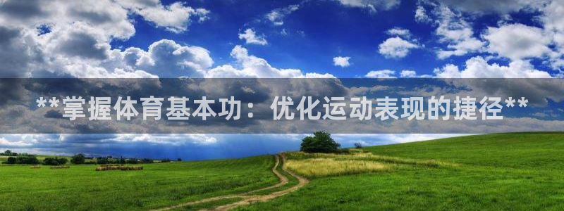 耀世娱乐官网网站入口：**掌握体育基本功：优化运动表