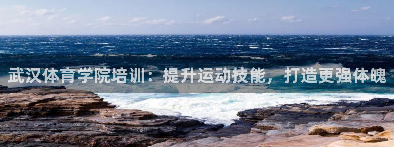 耀世集团商业联盟罗文斌主任：武汉体育学院培训：提升运