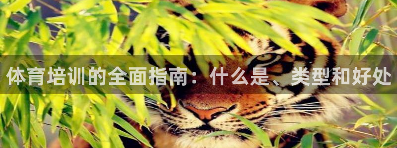 耀世平台心 58534I 耀世：体育培训的全面指南：