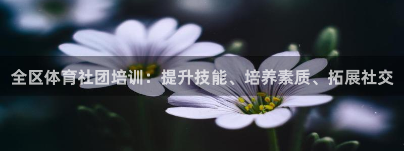 耀世天下图片大全：全区体育社团培训：提升技能、培养素