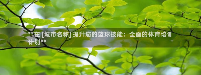 耀世微光歌曲下载：**在 [城市名称] 提升您的篮球