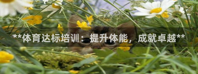 耀世娱乐黑钱吗能退吗：**体育达标培训：提升体能，成