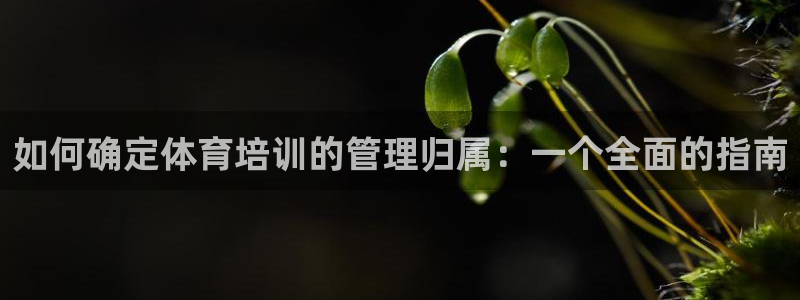 耀世娱乐：如何确定体育培训的管理归属：一个全面的指南