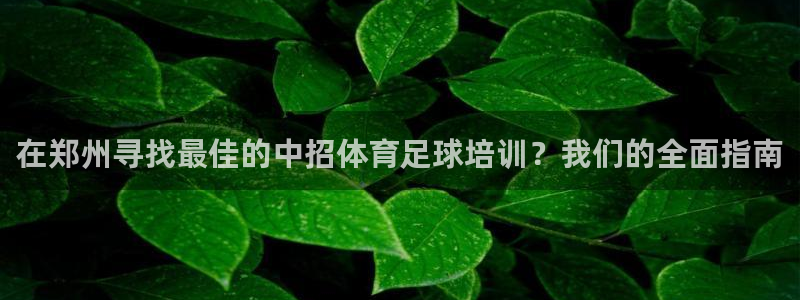 耀世平台注册流程图：在郑州寻找最佳的中招体育足球培训