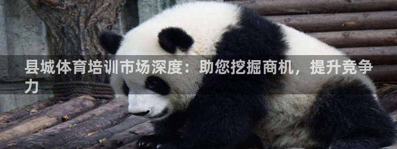 耀世娱乐黑钱吗能退吗：县城体育培训市场深度：助您挖掘