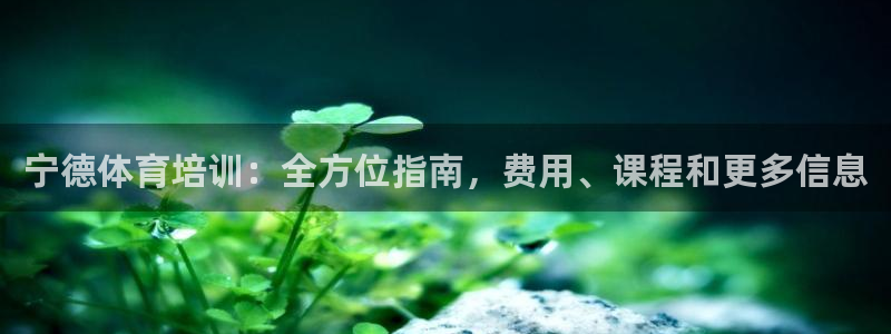 耀世平台产7O777：宁德体育培训：全方位指南，费用