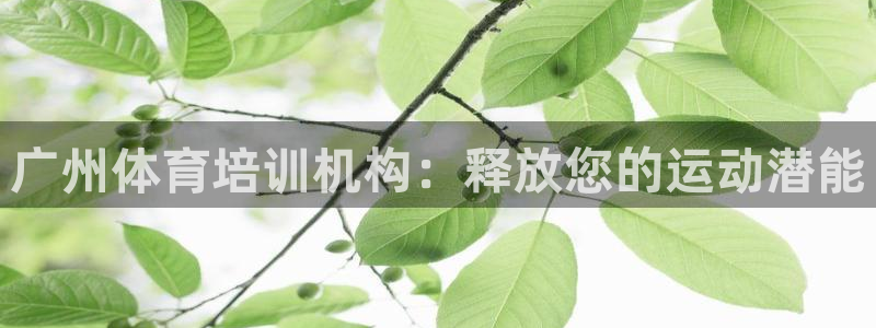 耀世集团是干嘛的企业啊：广州体育培训机构：释放您的运