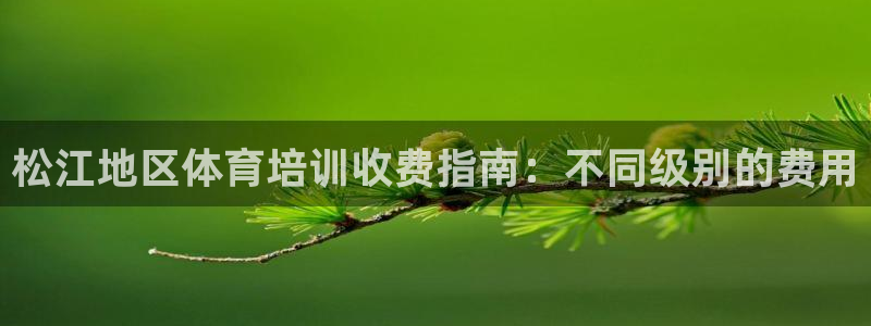 耀世天下的网名是什么意思啊：松江地区体育培训收费指南