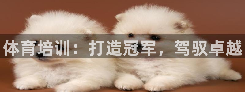 耀世登场一样的词：体育培训：打造冠军，驾驭卓越