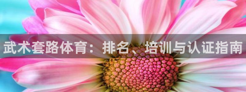 耀世集团商业联盟罗文斌：武术套路体育：排名、培训与认