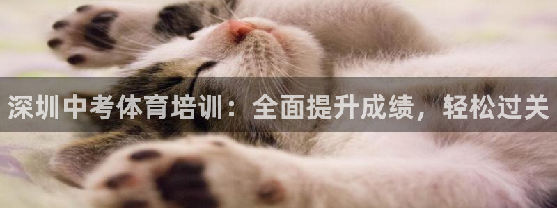 耀世平台主管代理是谁：深圳中考体育培训：全面提升成绩