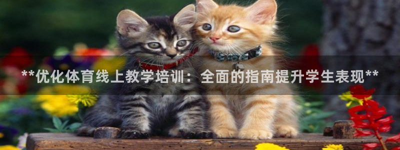 耀世平台总代理电话：**优化体育线上教学培训：全面的