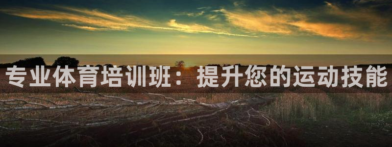 耀世娱乐怎么样：专业体育培训班：提升您的运动技能