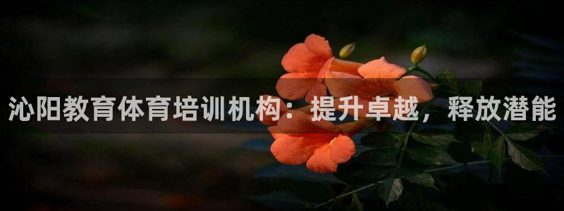 耀世娱乐挂机赚钱吗：沁阳教育体育培训机构：提升卓越，