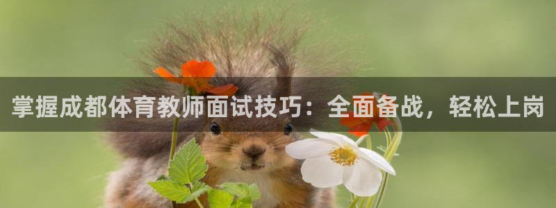 耀世娱乐违法吗：掌握成都体育教师面试技巧：全面备战，