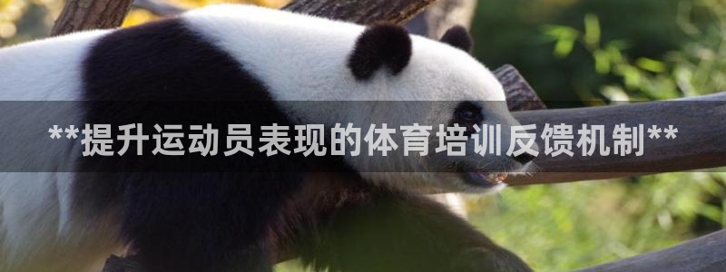 耀世平台乙六七五一38：**提升运动员表现的体育培训