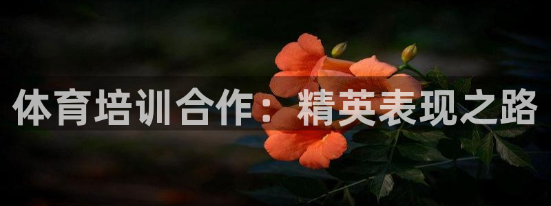 耀世娱乐注册入口官网：体育培训合作：精英表现之路