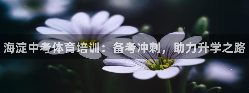 耀世平台注册登录不上怎么办：海淀中考体育培训：备考冲