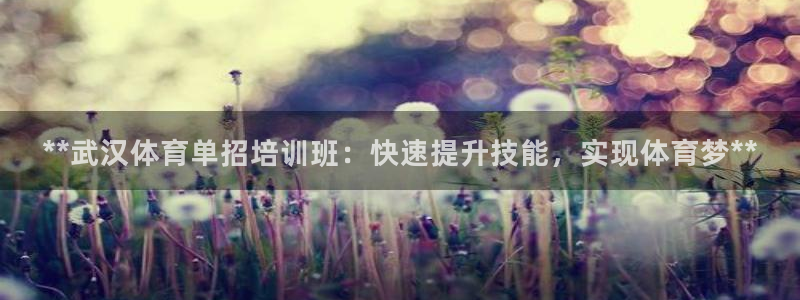耀世广告：**武汉体育单招培训班：快速提升技能，实现