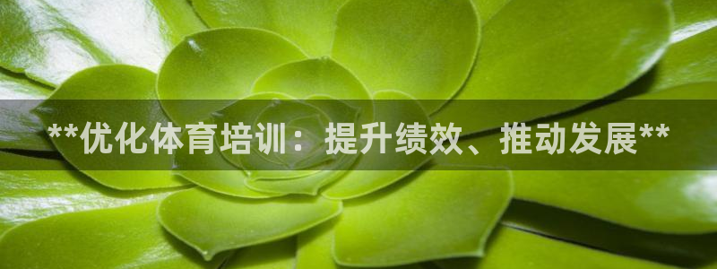 耀世娱乐能提现吗现在多少钱：**优化体育培训：提升绩