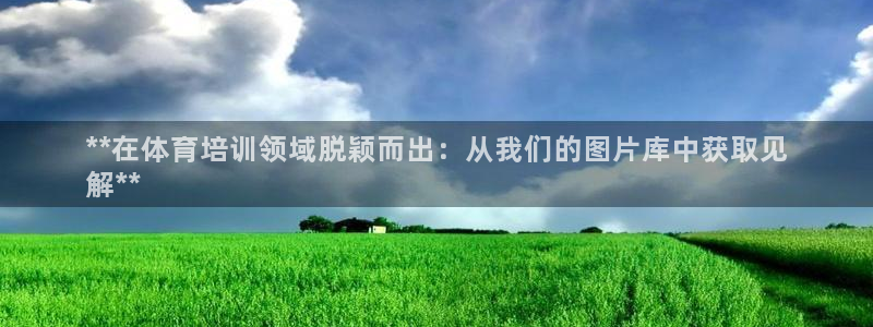 耀世娱乐中国创新：**在体育培训领域脱颖而出：从我们