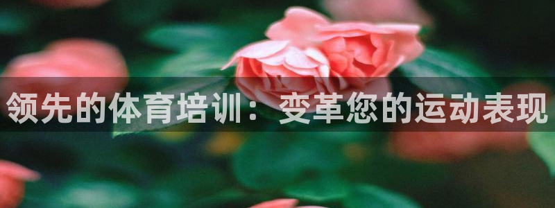耀世娱乐合法吗：领先的体育培训：变革您的运动表现