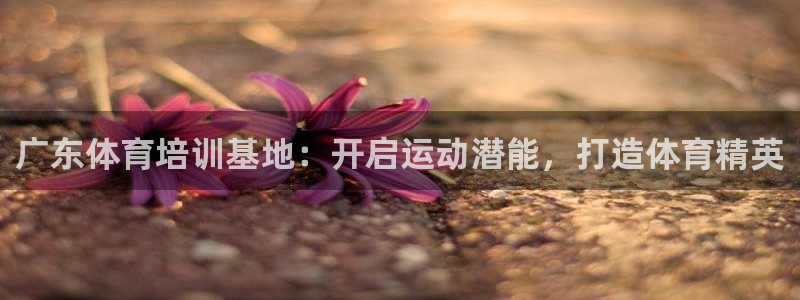 耀世娱乐挂机脚本：广东体育培训基地：开启运动潜能，打