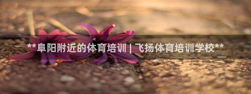 耀世来袭什么意思：**阜阳附近的体育培训 | 飞扬体