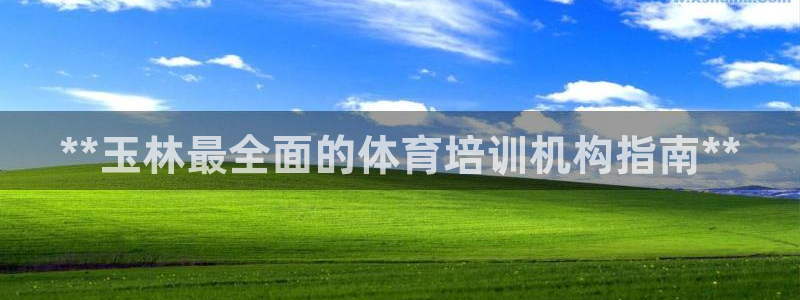 耀世娱乐辅助软件下载安卓：**玉林最全面的体育培训机