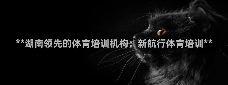 耀世集团是干嘛的：**湖南领先的体育培训机构：新航行