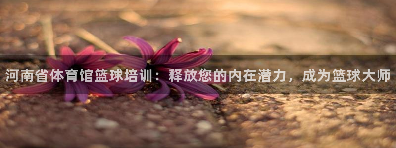 耀世娱乐app下载官网：河南省体育馆篮球培训：释放您