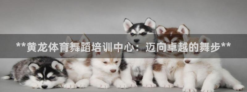 耀世娱乐黑钱吗：**黄龙体育舞蹈培训中心：迈向卓越的
