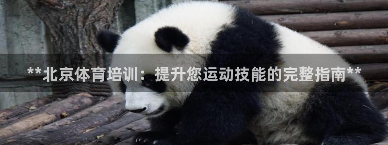 耀世天下的网名是什么意思啊男生：**北京体育培训：提