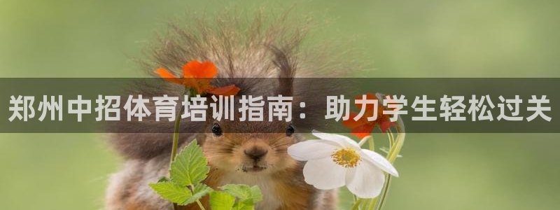 耀世集团北京快三是真的吗：郑州中招体育培训指南：助力